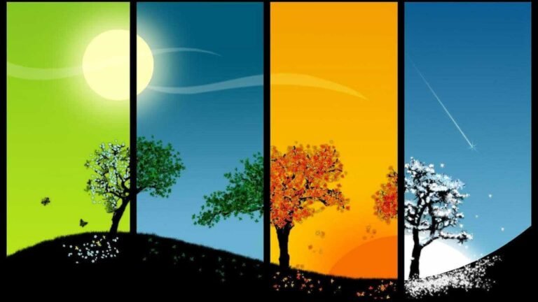 Atividades Estações do Ano - 8º ano