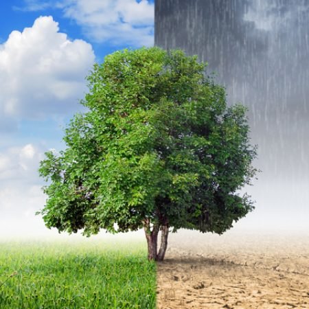 Resumo Mudança de Clima Local - Atividade para 8º ano