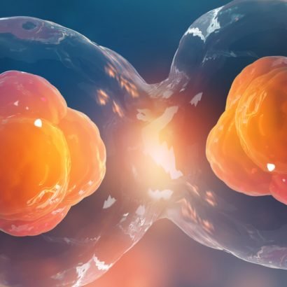 Resumo Meiose - Atividade para 9º ano